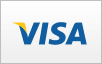 Visa Credit Card Image